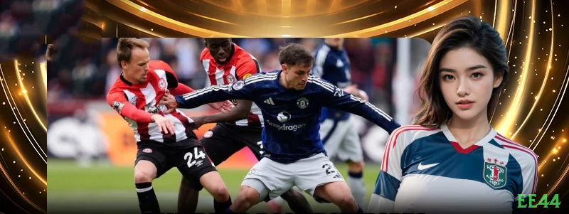 ee44 Provedores Premium